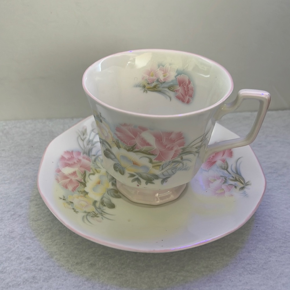 Vintage Queens Pastel Pink Carnation Magnolia Pedestal Tea Cup and saucer
